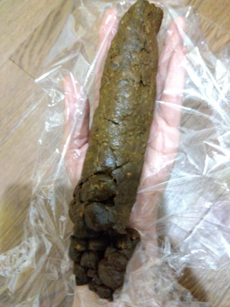 出品者名-写真-1